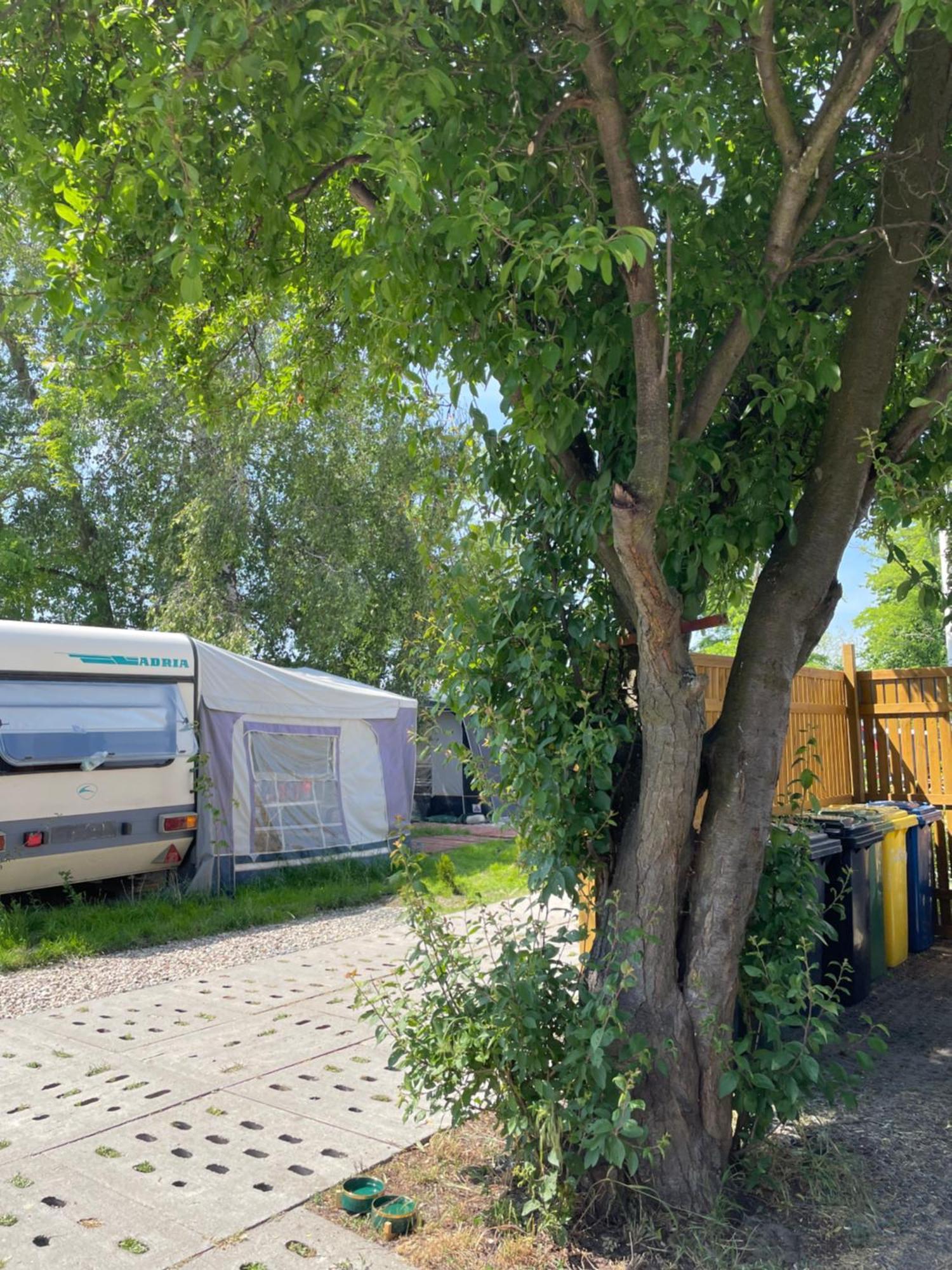 מלון יאסטארניה Sonata Camp מראה חיצוני תמונה
